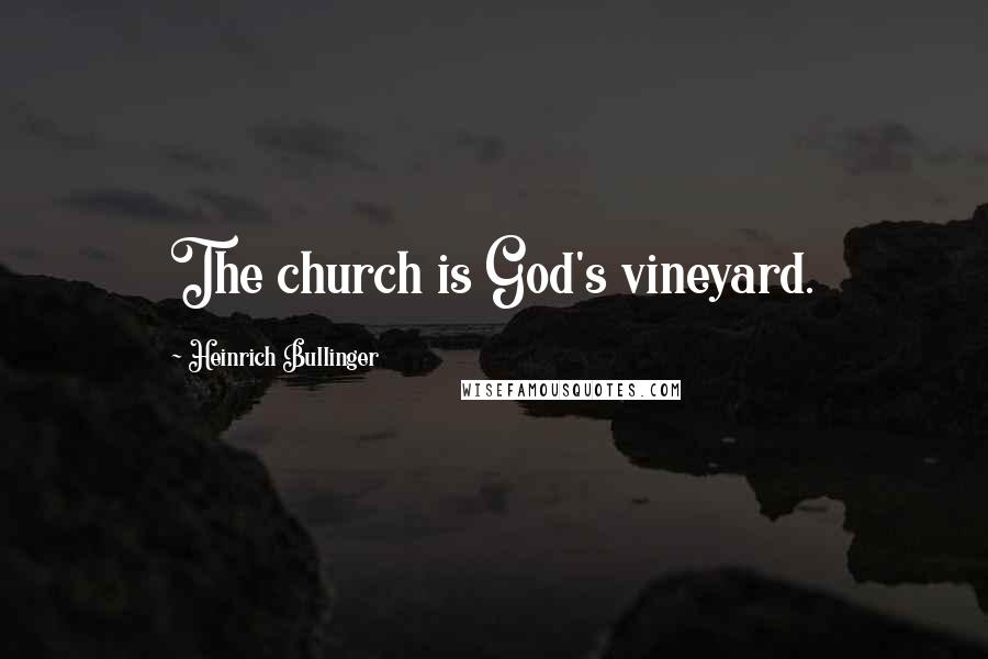 Heinrich Bullinger Quotes: The church is God's vineyard.