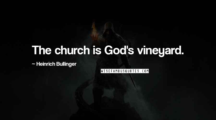 Heinrich Bullinger Quotes: The church is God's vineyard.