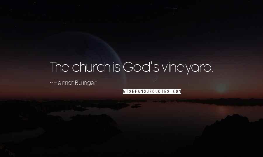 Heinrich Bullinger Quotes: The church is God's vineyard.