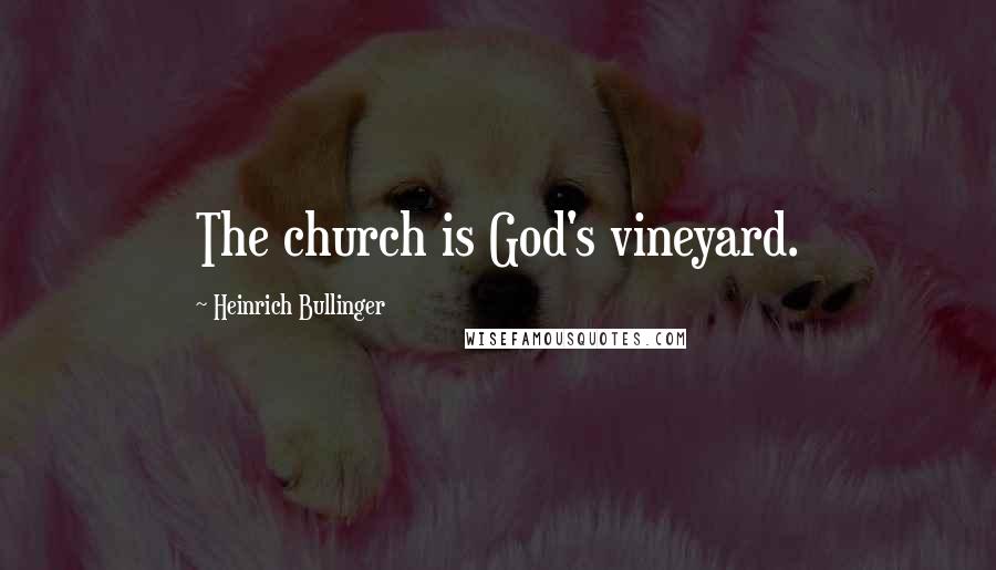 Heinrich Bullinger Quotes: The church is God's vineyard.