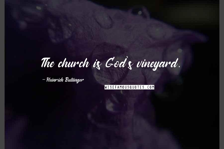 Heinrich Bullinger Quotes: The church is God's vineyard.