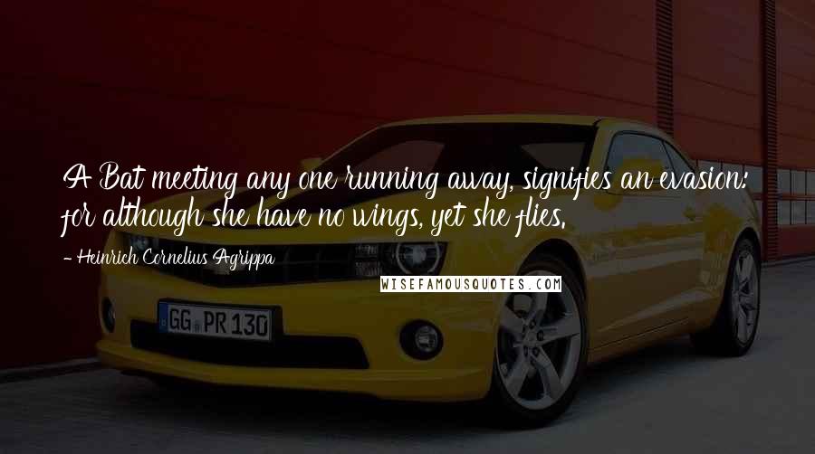 Heinrich Cornelius Agrippa Quotes: A Bat meeting any one running away, signifies an evasion: for although she have no wings, yet she flies.