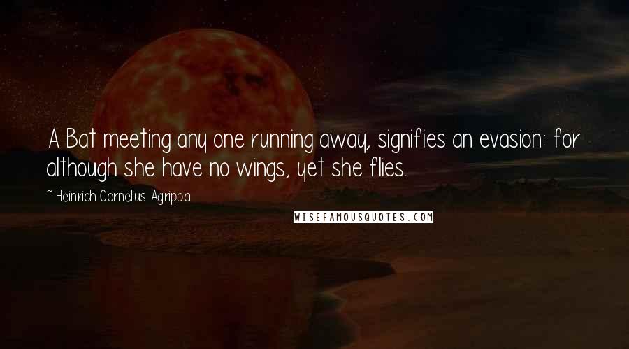 Heinrich Cornelius Agrippa Quotes: A Bat meeting any one running away, signifies an evasion: for although she have no wings, yet she flies.