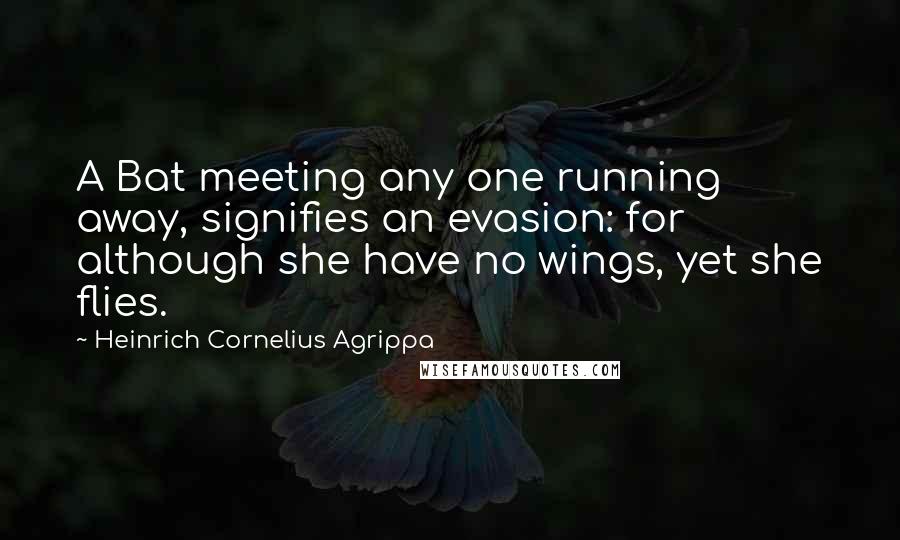 Heinrich Cornelius Agrippa Quotes: A Bat meeting any one running away, signifies an evasion: for although she have no wings, yet she flies.