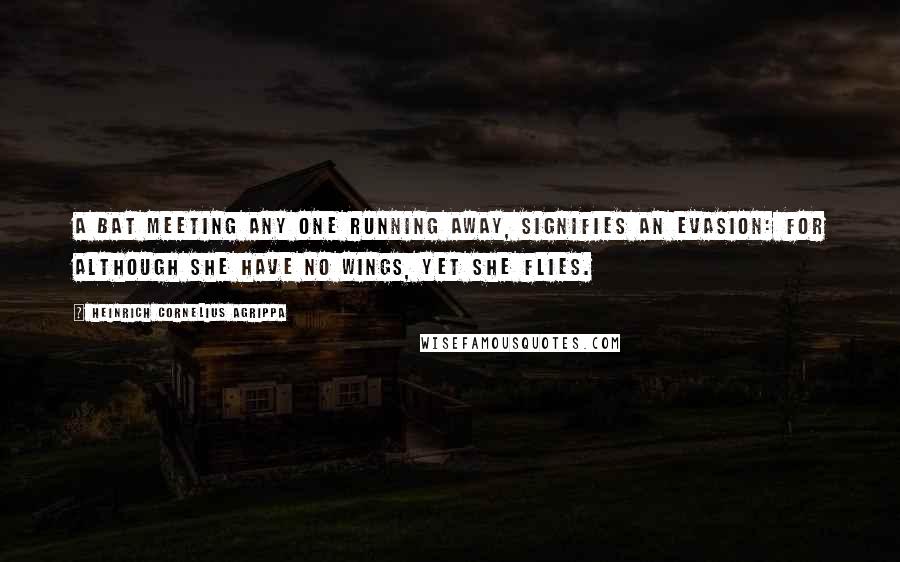 Heinrich Cornelius Agrippa Quotes: A Bat meeting any one running away, signifies an evasion: for although she have no wings, yet she flies.