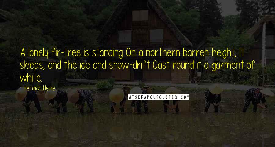 Heinrich Heine Quotes: A lonely fir-tree is standing On a northern barren height; It sleeps, and the ice and snow-drift Cast round it a garment of white.