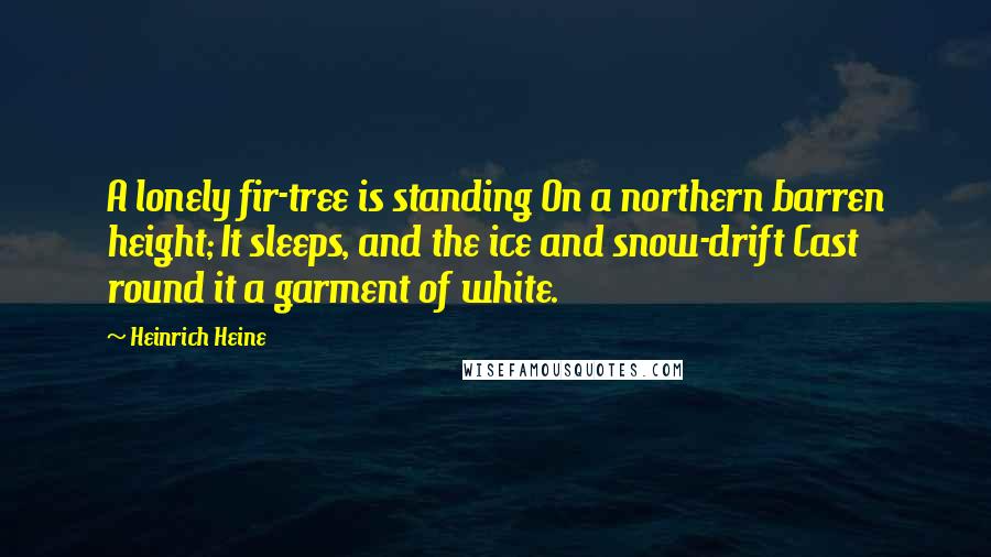 Heinrich Heine Quotes: A lonely fir-tree is standing On a northern barren height; It sleeps, and the ice and snow-drift Cast round it a garment of white.