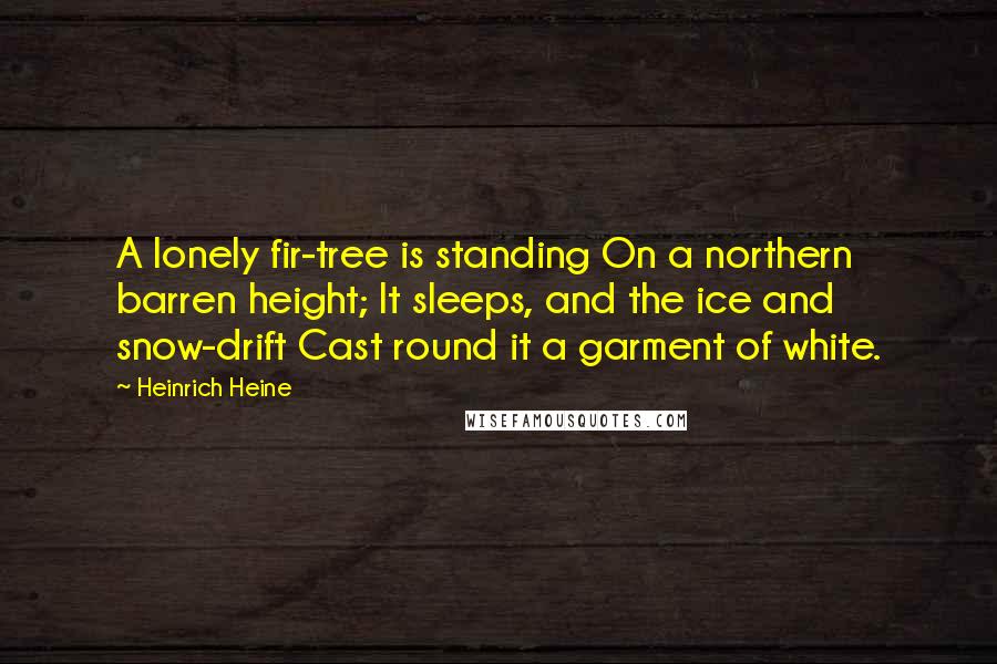 Heinrich Heine Quotes: A lonely fir-tree is standing On a northern barren height; It sleeps, and the ice and snow-drift Cast round it a garment of white.
