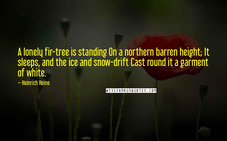 Heinrich Heine Quotes: A lonely fir-tree is standing On a northern barren height; It sleeps, and the ice and snow-drift Cast round it a garment of white.