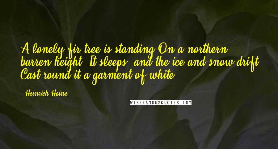Heinrich Heine Quotes: A lonely fir-tree is standing On a northern barren height; It sleeps, and the ice and snow-drift Cast round it a garment of white.