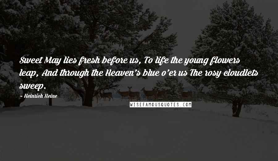 Heinrich Heine Quotes: Sweet May lies fresh before us, To life the young flowers leap, And through the Heaven's blue o'er us The rosy cloudlets sweep.