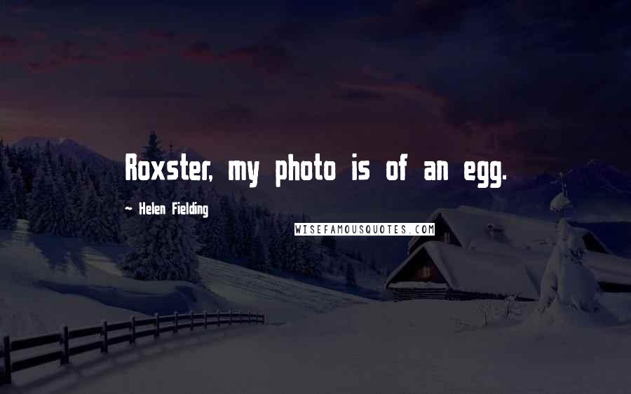 Helen Fielding Quotes: Roxster, my photo is of an egg.