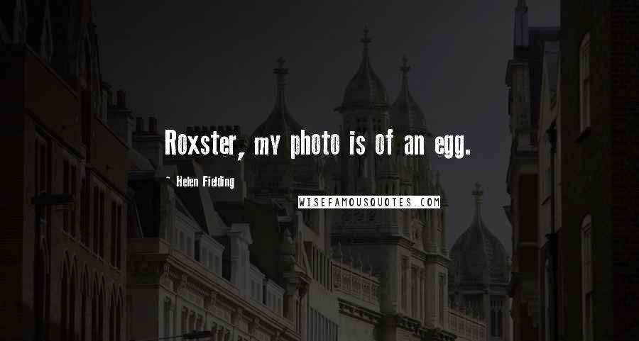 Helen Fielding Quotes: Roxster, my photo is of an egg.