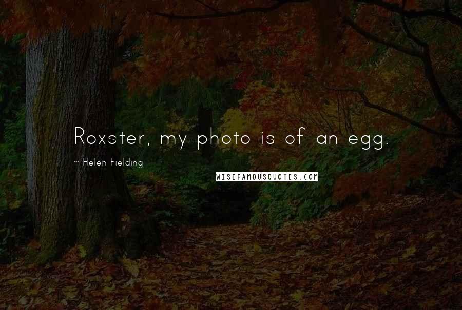 Helen Fielding Quotes: Roxster, my photo is of an egg.