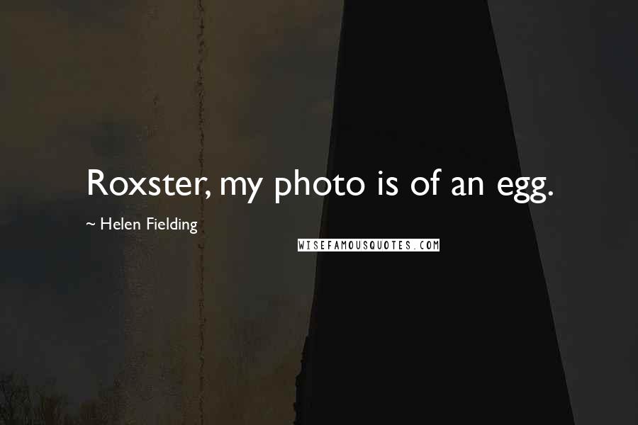 Helen Fielding Quotes: Roxster, my photo is of an egg.