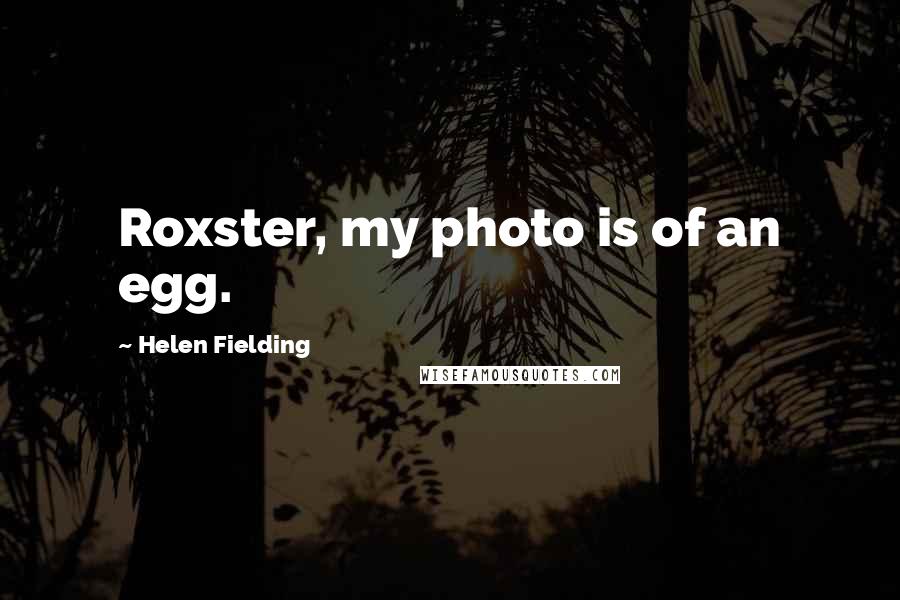 Helen Fielding Quotes: Roxster, my photo is of an egg.