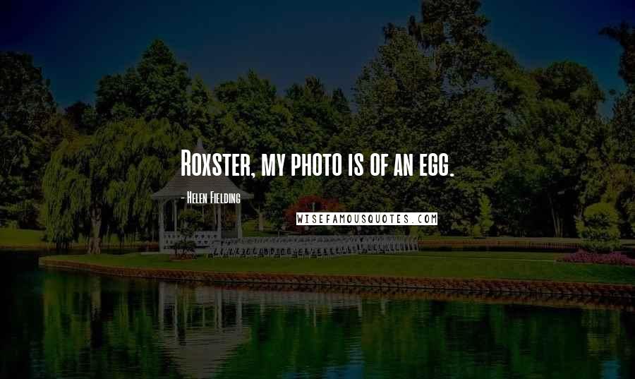 Helen Fielding Quotes: Roxster, my photo is of an egg.