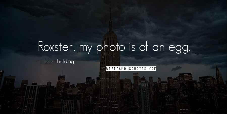 Helen Fielding Quotes: Roxster, my photo is of an egg.