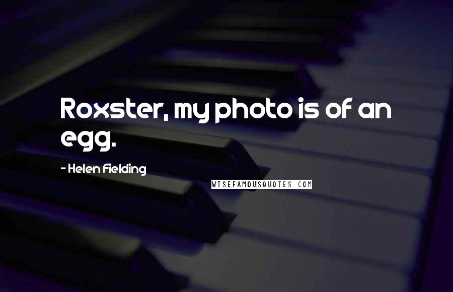 Helen Fielding Quotes: Roxster, my photo is of an egg.