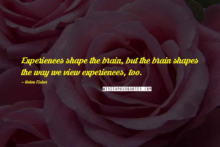 Helen Fisher Quotes: Experiences shape the brain, but the brain shapes the way we view experiences, too.