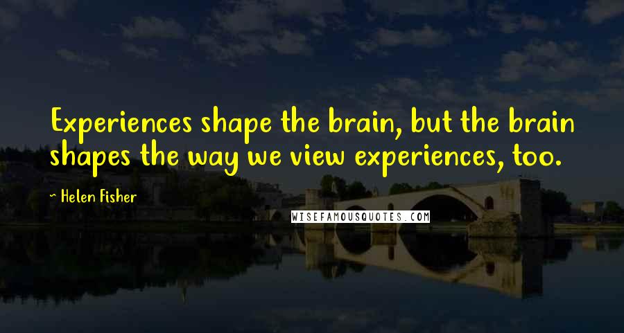 Helen Fisher Quotes: Experiences shape the brain, but the brain shapes the way we view experiences, too.