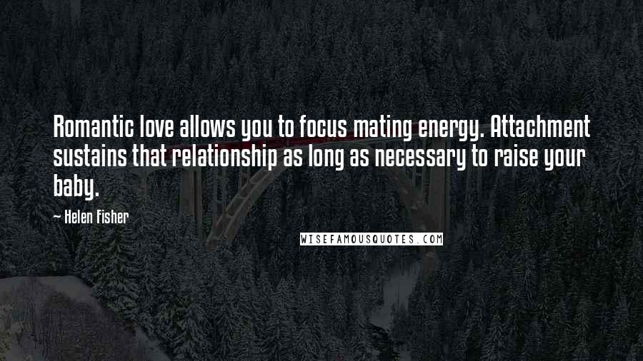 Helen Fisher Quotes: Romantic love allows you to focus mating energy. Attachment sustains that relationship as long as necessary to raise your baby.