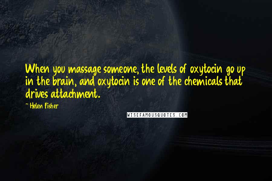 Helen Fisher Quotes: When you massage someone, the levels of oxytocin go up in the brain, and oxytocin is one of the chemicals that drives attachment.