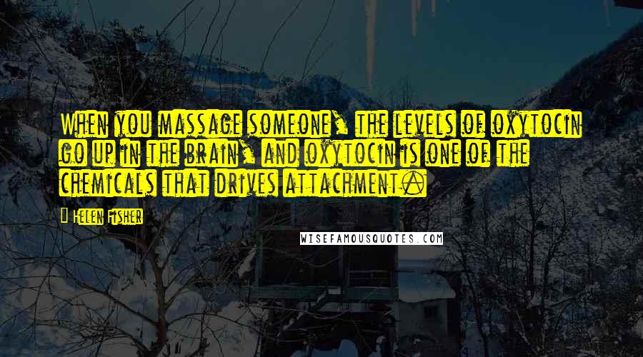 Helen Fisher Quotes: When you massage someone, the levels of oxytocin go up in the brain, and oxytocin is one of the chemicals that drives attachment.