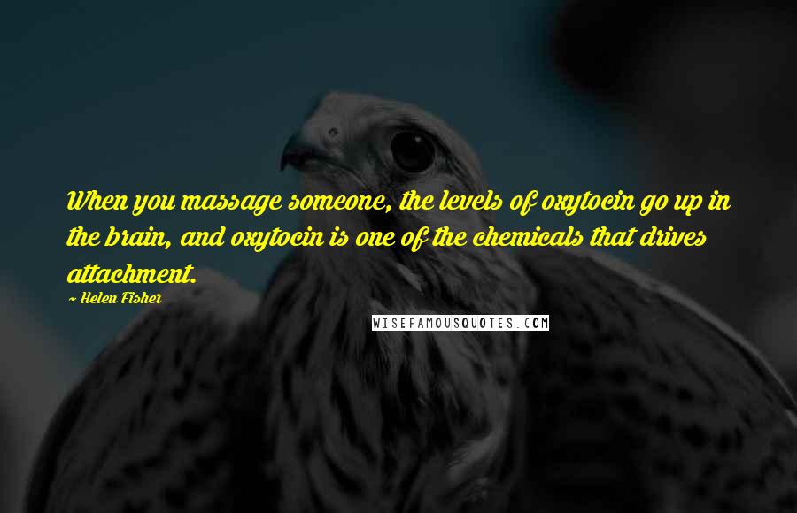 Helen Fisher Quotes: When you massage someone, the levels of oxytocin go up in the brain, and oxytocin is one of the chemicals that drives attachment.