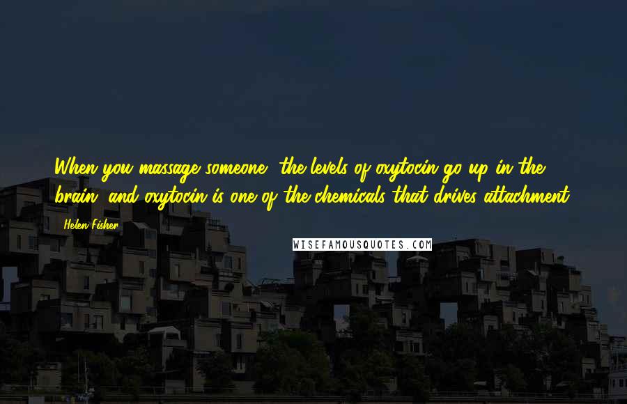 Helen Fisher Quotes: When you massage someone, the levels of oxytocin go up in the brain, and oxytocin is one of the chemicals that drives attachment.