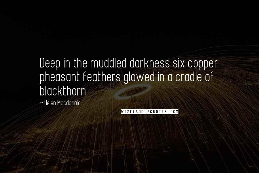 Helen Macdonald Quotes: Deep in the muddled darkness six copper pheasant feathers glowed in a cradle of blackthorn.