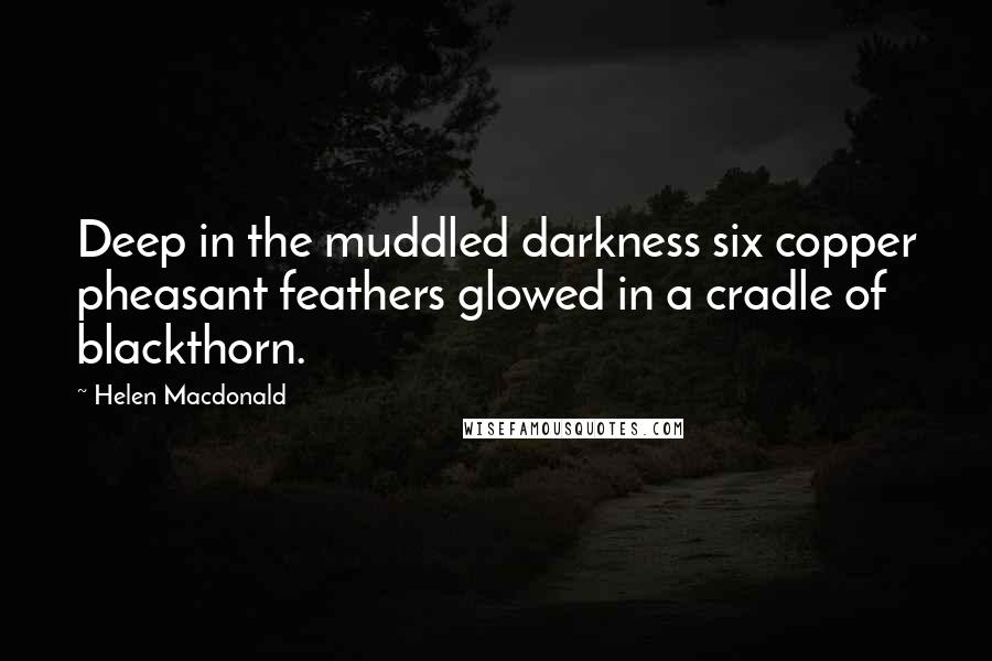 Helen Macdonald Quotes: Deep in the muddled darkness six copper pheasant feathers glowed in a cradle of blackthorn.