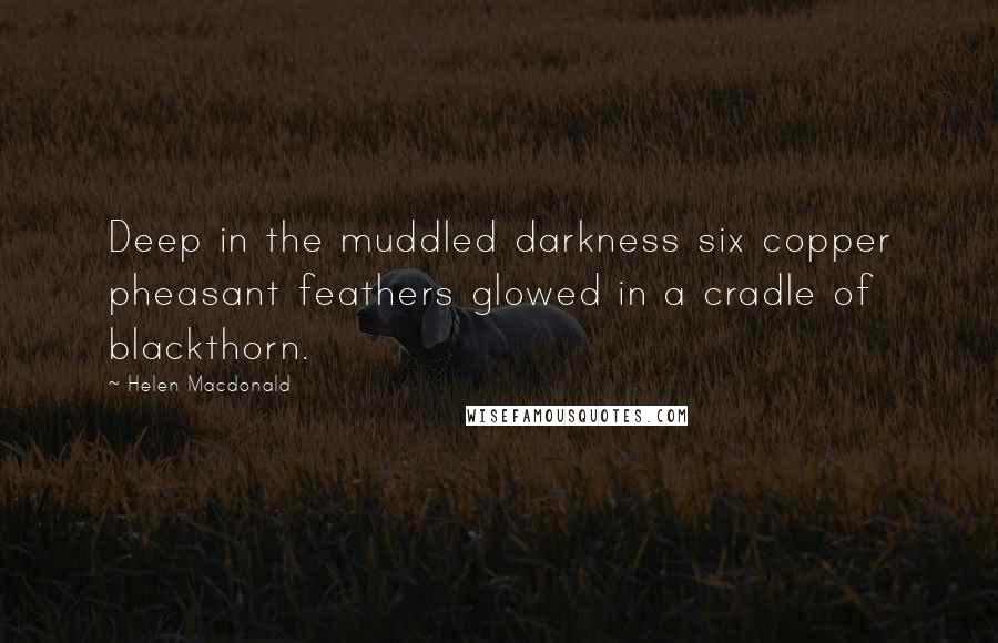 Helen Macdonald Quotes: Deep in the muddled darkness six copper pheasant feathers glowed in a cradle of blackthorn.