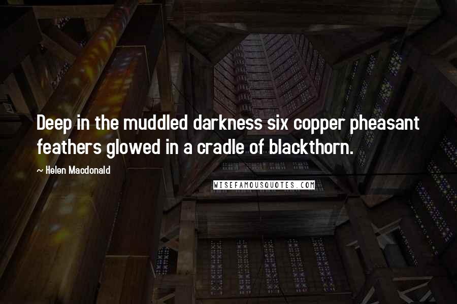 Helen Macdonald Quotes: Deep in the muddled darkness six copper pheasant feathers glowed in a cradle of blackthorn.