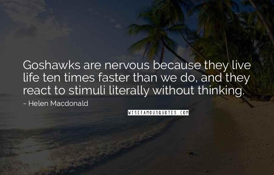Helen Macdonald Quotes: Goshawks are nervous because they live life ten times faster than we do, and they react to stimuli literally without thinking.