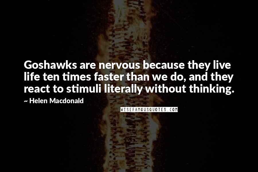 Helen Macdonald Quotes: Goshawks are nervous because they live life ten times faster than we do, and they react to stimuli literally without thinking.