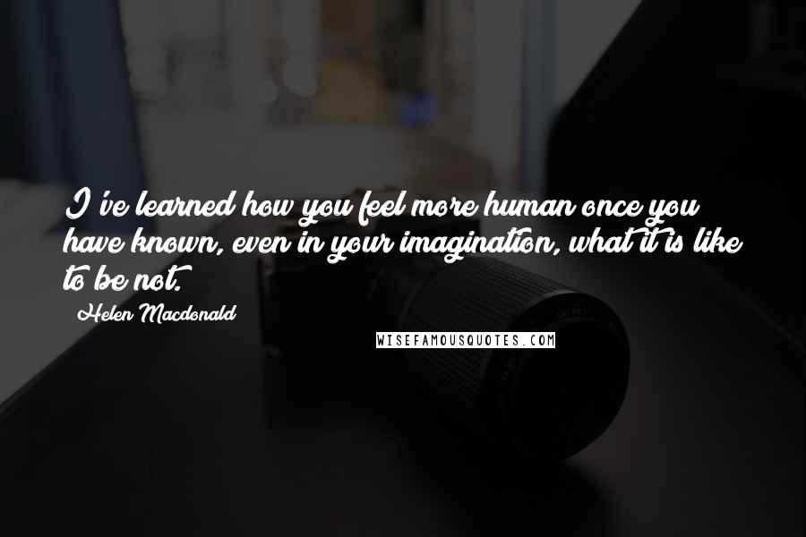 Helen Macdonald Quotes: I've learned how you feel more human once you have known, even in your imagination, what it is like to be not.