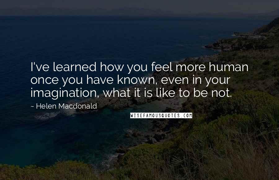 Helen Macdonald Quotes: I've learned how you feel more human once you have known, even in your imagination, what it is like to be not.