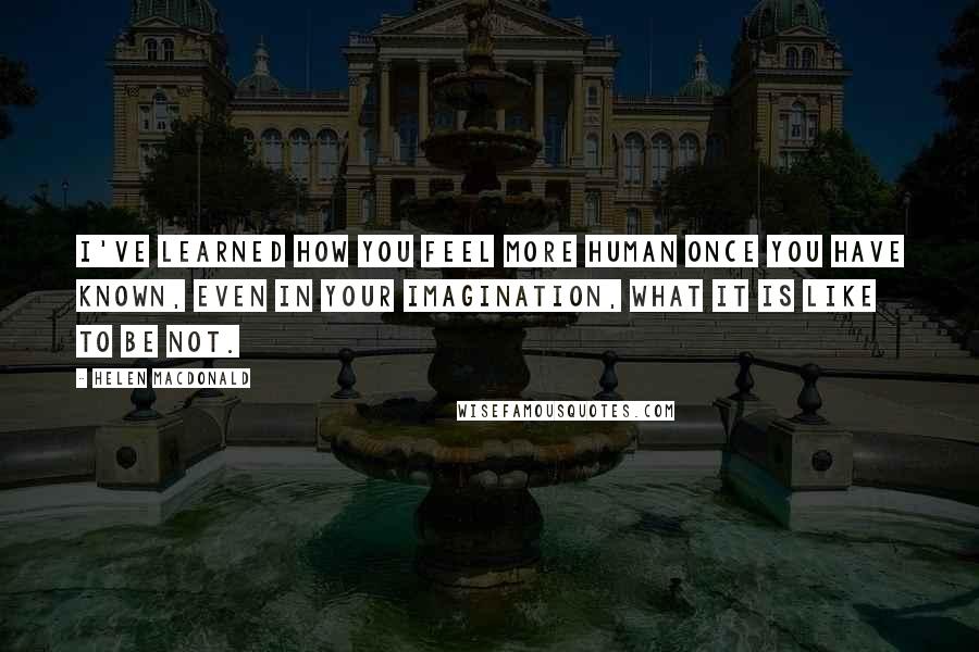 Helen Macdonald Quotes: I've learned how you feel more human once you have known, even in your imagination, what it is like to be not.