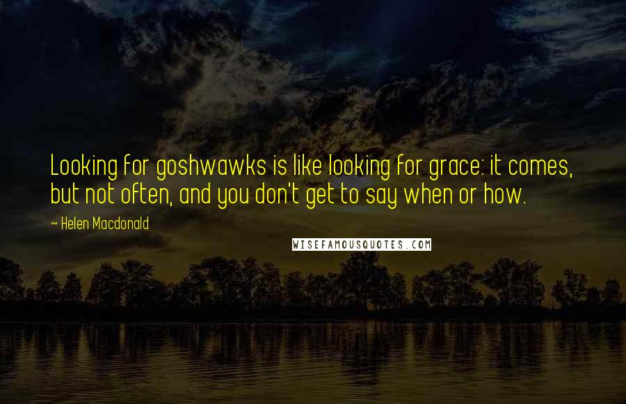 Helen Macdonald Quotes: Looking for goshwawks is like looking for grace: it comes, but not often, and you don't get to say when or how.