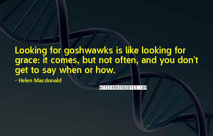 Helen Macdonald Quotes: Looking for goshwawks is like looking for grace: it comes, but not often, and you don't get to say when or how.