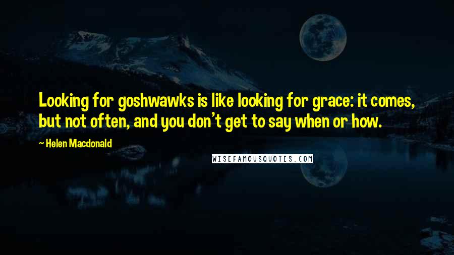 Helen Macdonald Quotes: Looking for goshwawks is like looking for grace: it comes, but not often, and you don't get to say when or how.