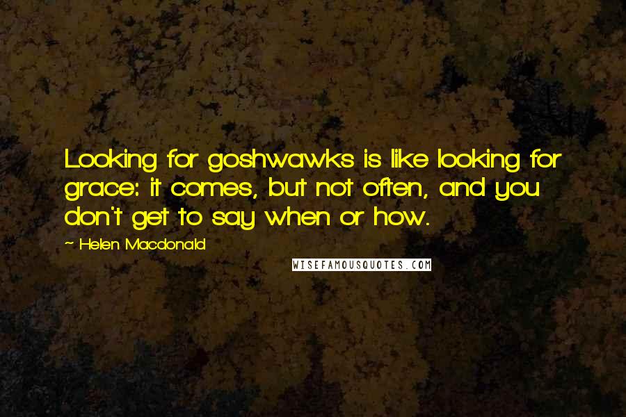 Helen Macdonald Quotes: Looking for goshwawks is like looking for grace: it comes, but not often, and you don't get to say when or how.