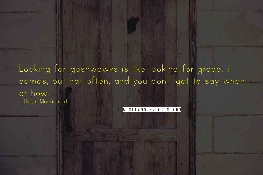 Helen Macdonald Quotes: Looking for goshwawks is like looking for grace: it comes, but not often, and you don't get to say when or how.