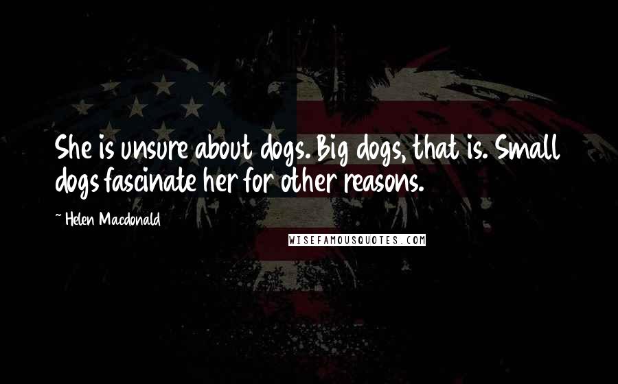 Helen Macdonald Quotes: She is unsure about dogs. Big dogs, that is. Small dogs fascinate her for other reasons.