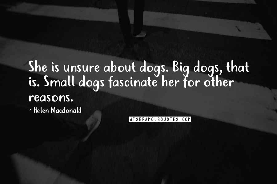 Helen Macdonald Quotes: She is unsure about dogs. Big dogs, that is. Small dogs fascinate her for other reasons.