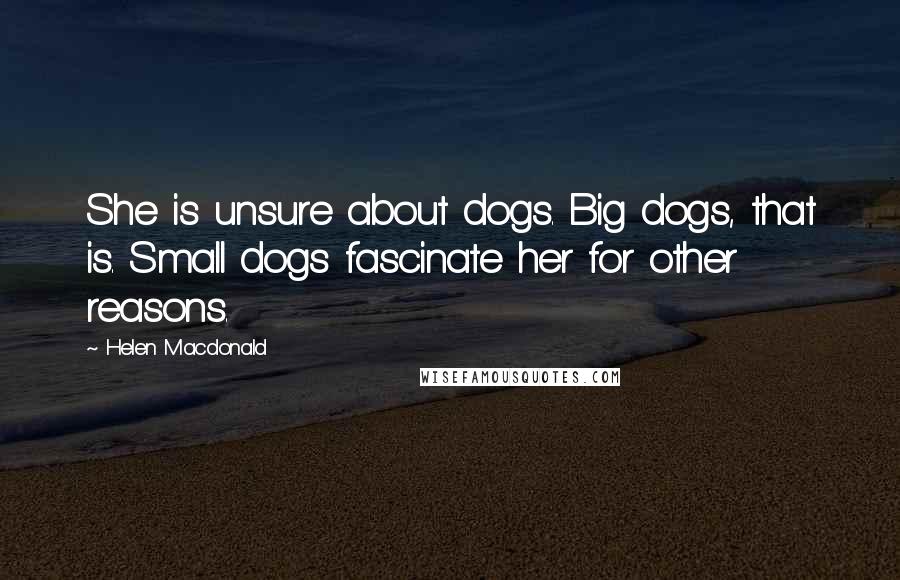 Helen Macdonald Quotes: She is unsure about dogs. Big dogs, that is. Small dogs fascinate her for other reasons.