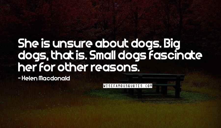 Helen Macdonald Quotes: She is unsure about dogs. Big dogs, that is. Small dogs fascinate her for other reasons.