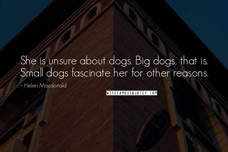 Helen Macdonald Quotes: She is unsure about dogs. Big dogs, that is. Small dogs fascinate her for other reasons.