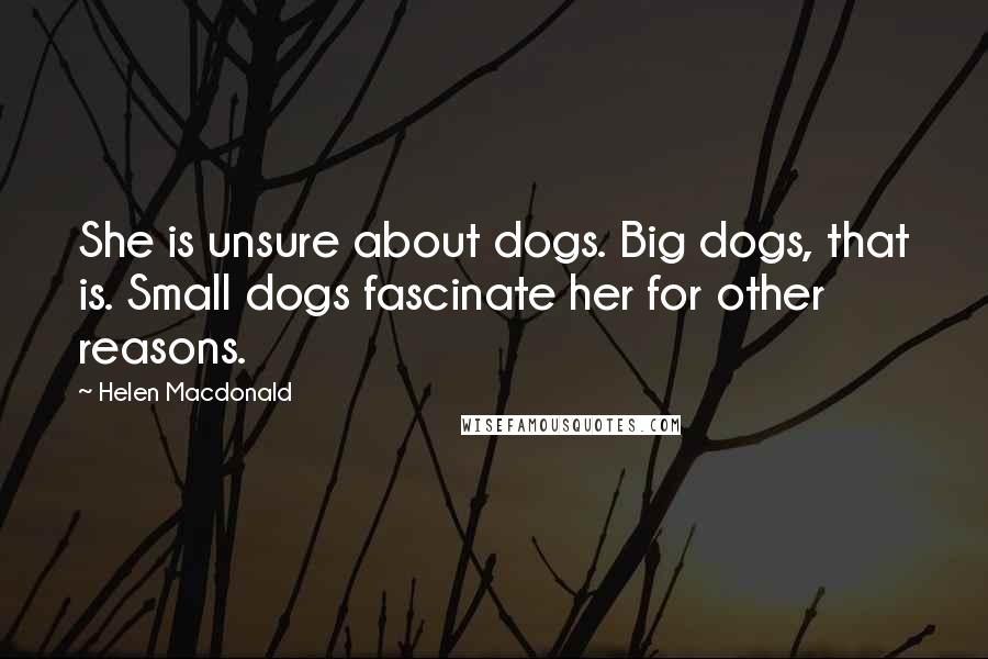 Helen Macdonald Quotes: She is unsure about dogs. Big dogs, that is. Small dogs fascinate her for other reasons.